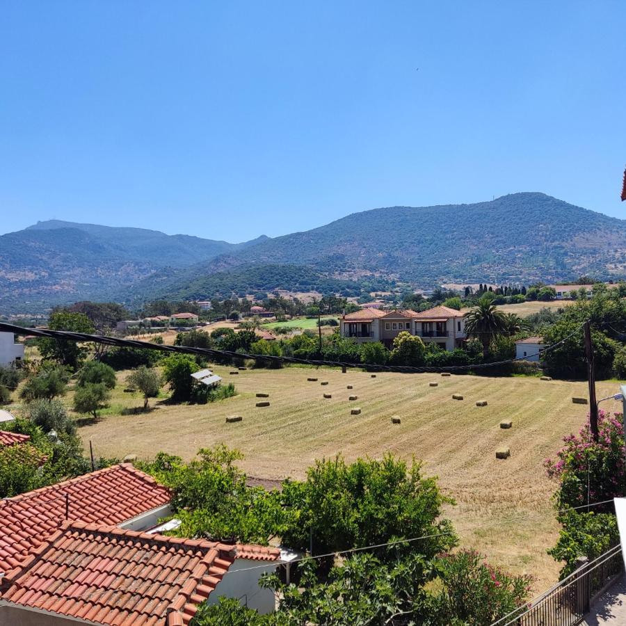Hotel Ilion Petra  Esterno foto