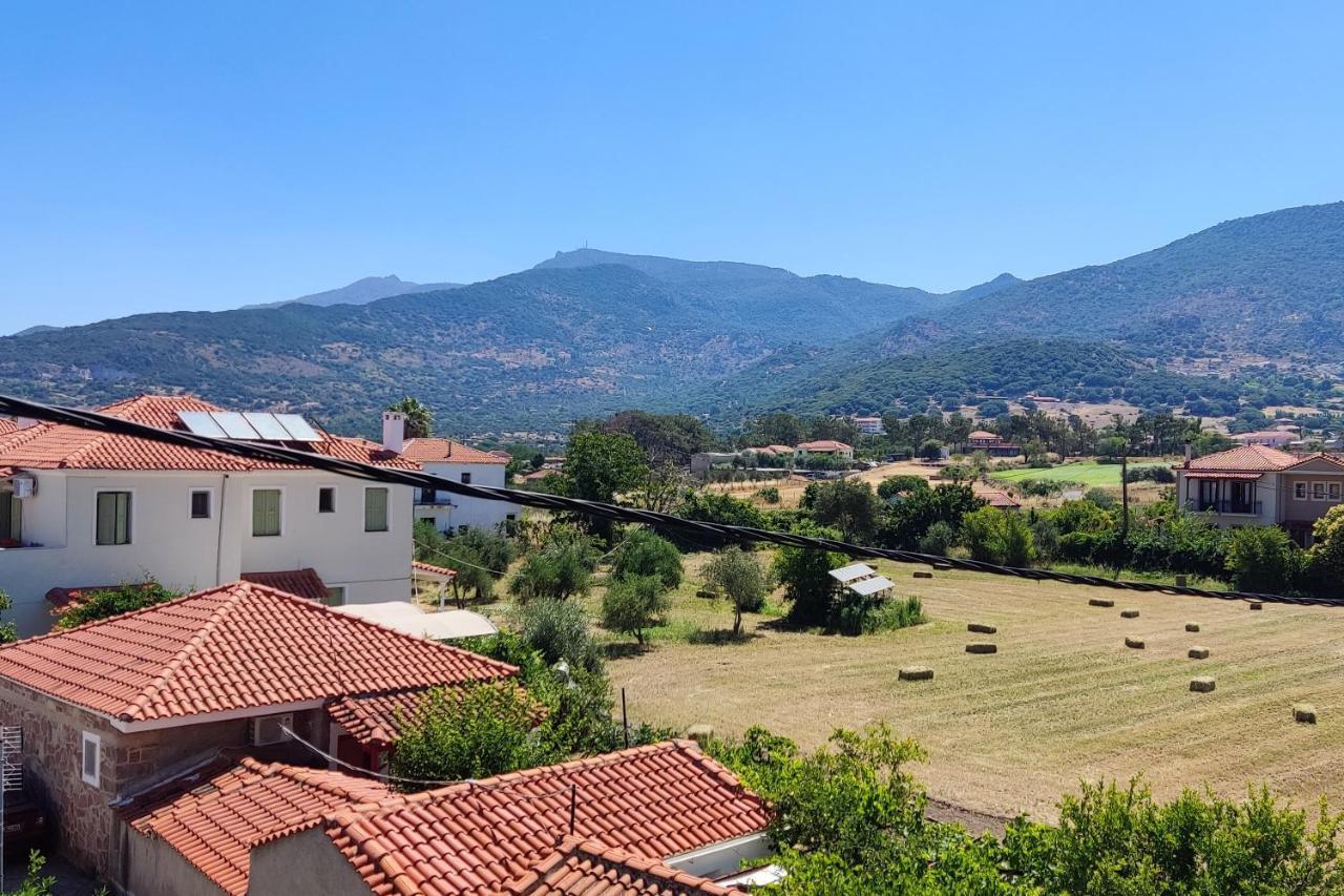 Hotel Ilion Petra  Esterno foto